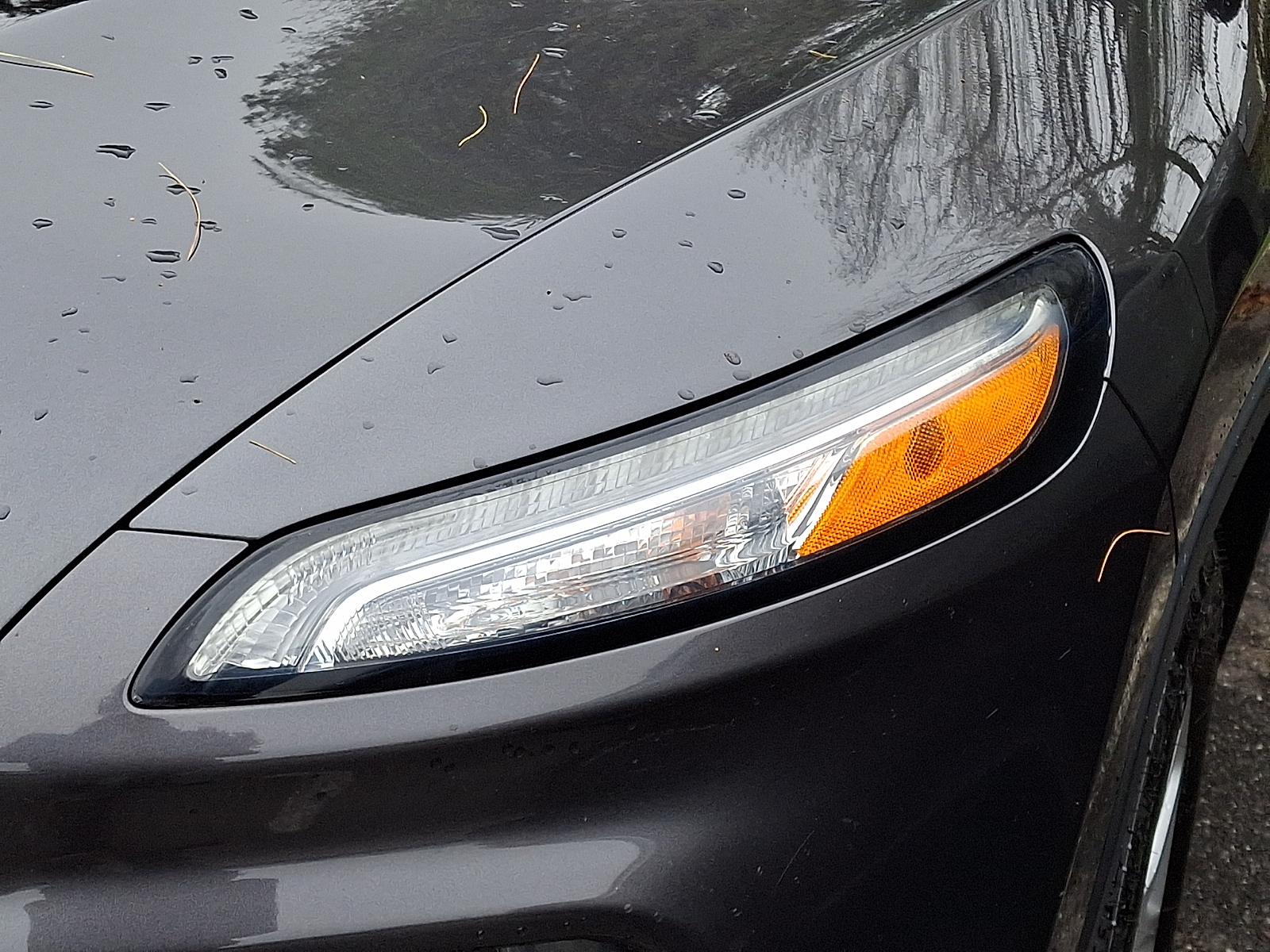 View vehicle photo 4