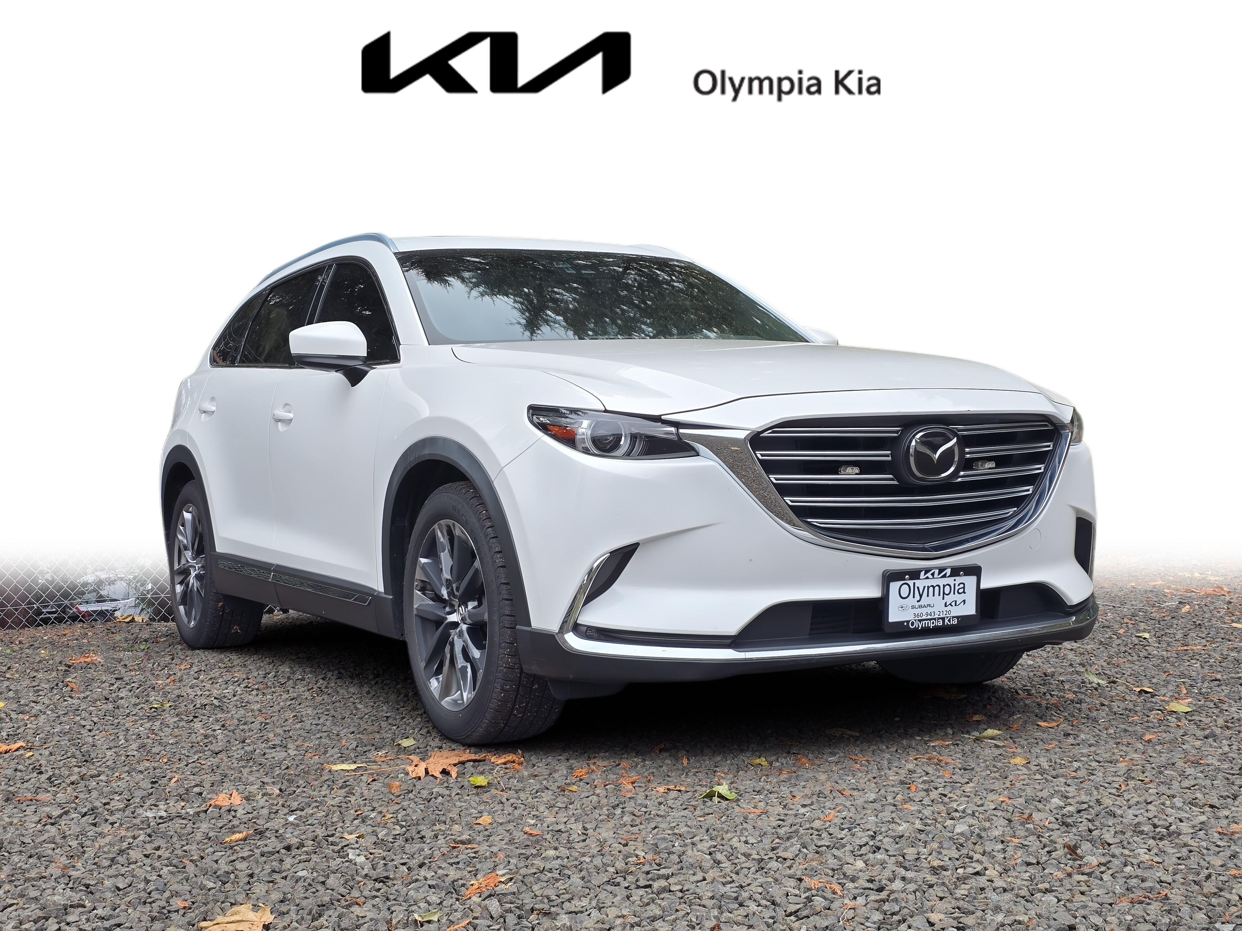 2016 Mazda CX-9 Signature